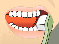 Dahlgren Dental